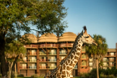 2024 Disney Animal Kingdom Lodge Holiday