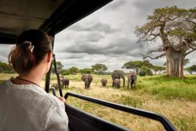 South Africa Safari & Cape Town