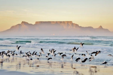 Cape Town & Mauritius Trip