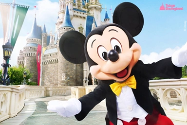 Japan Disneyland and Universal Studios Package