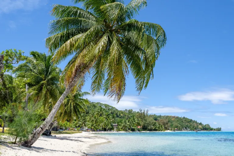 Turks & Caicos Holiday