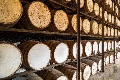 Appleton Rum Estate Tour