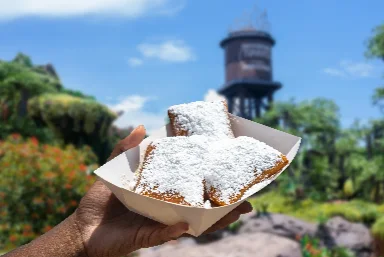 Free Disney Dining & Drinks 2027