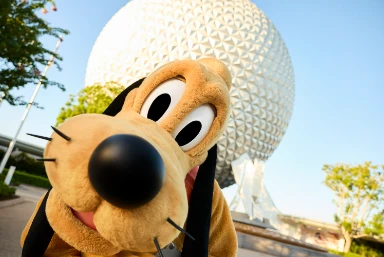 Florida Foodie Holidays: Where to Dine in Orlando in 2027