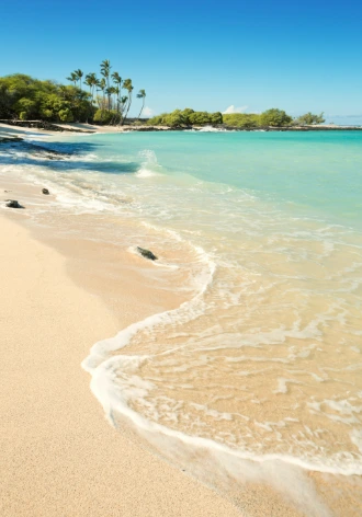 Hawaii Honeymoons