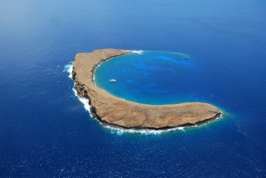Molokini Crater Snorkelling and Turtle Town