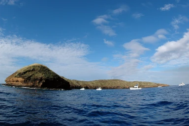 Molokini Crater Snorkelling and Turtle Town