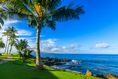 Hawaii Special Offers