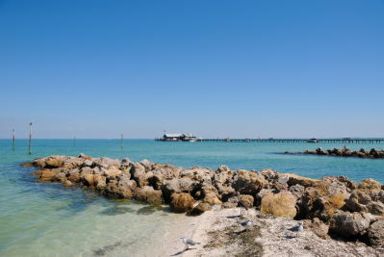 Florida Special Offers