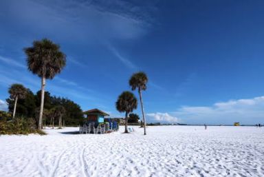 Florida Gulf Coast