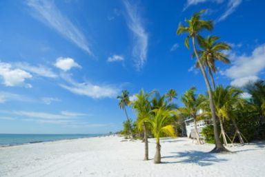 Florida Special Offers