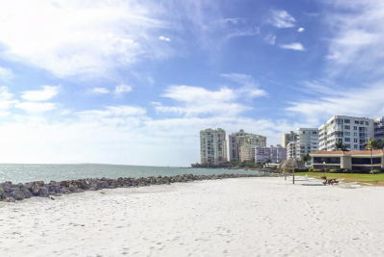 Walt Disney & Marco Island