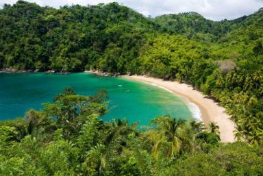 Orlando, Miami & Tobago