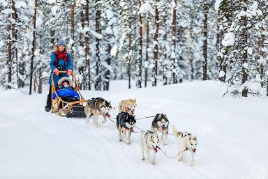 Lapland Safari Holiday