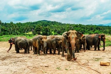 South India Holidays