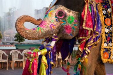 Delhi Holidays